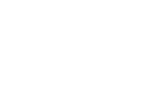 Google Partner